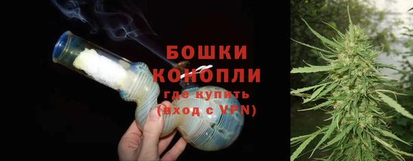 прущие грибы Балабаново
