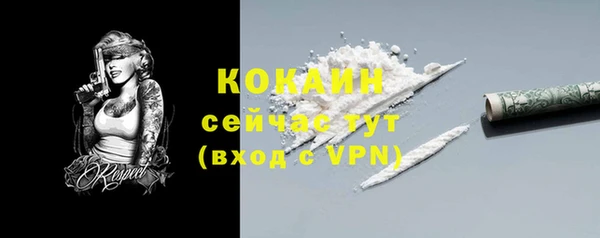 стаф Балахна