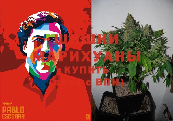 прущие грибы Балабаново