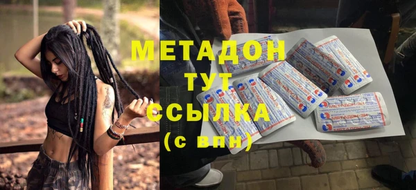 прущие грибы Балабаново